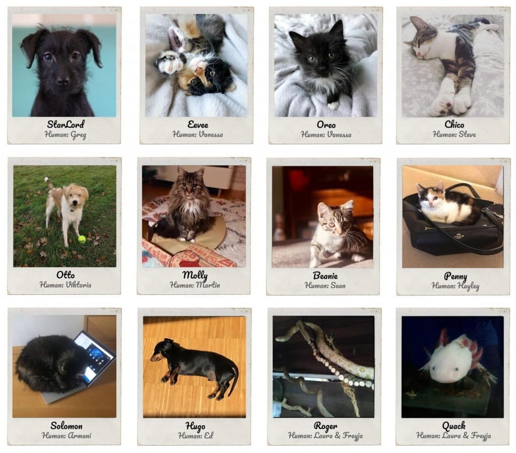furryteamphoto-1024x899.jpg