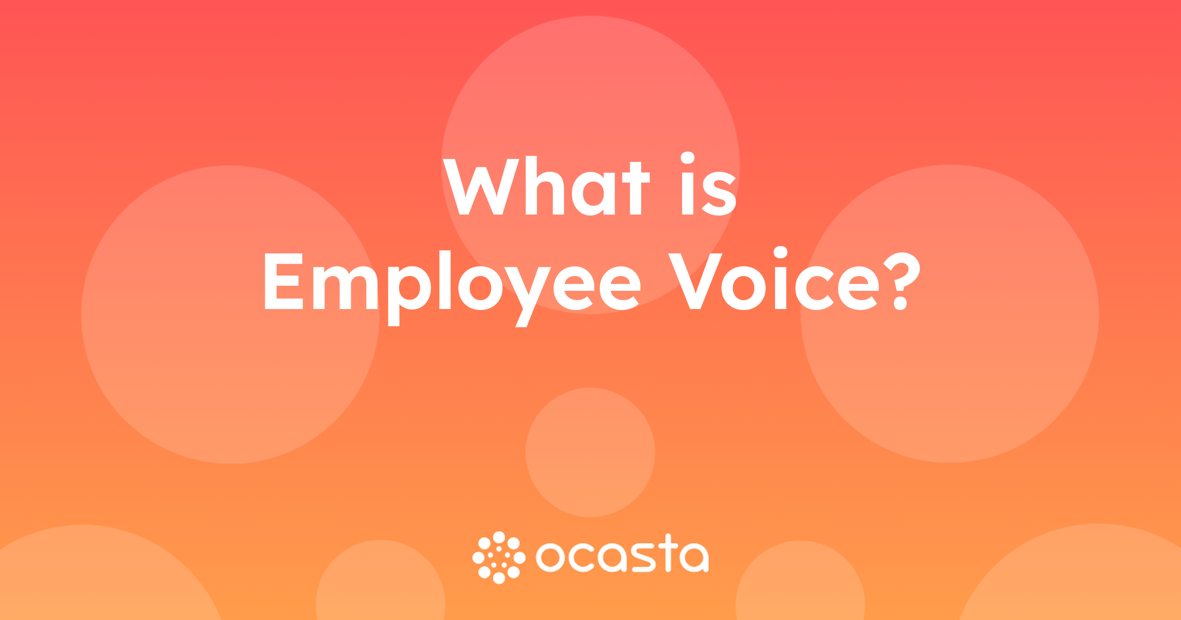 Understanding Employee Voice in the Workplace